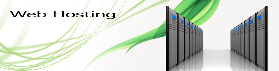 Web Hosting